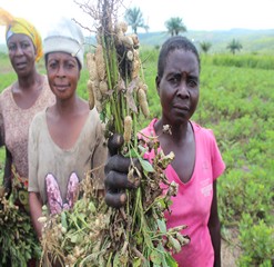 Femmes-au-champ-d31
