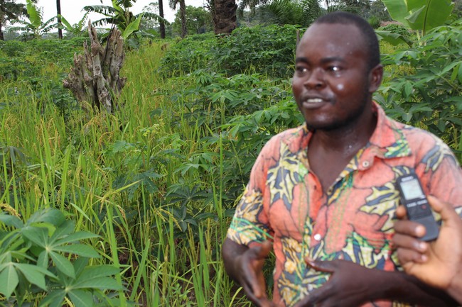 Un bénéficiaire satisfait de la production agricole de son OP