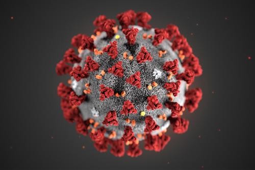 Coronavirus-df6