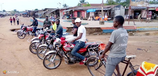 Bumba-sensibilis-d7c