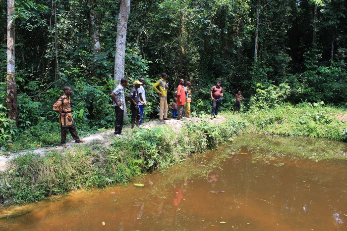 1111111111_sauvegarde-f2a