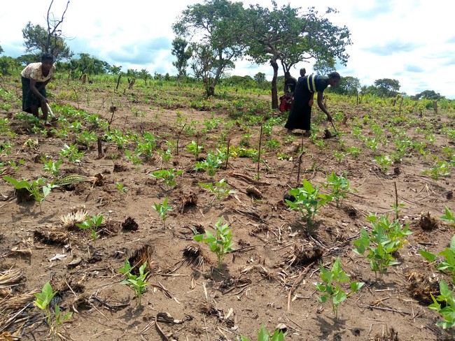 Un ménage bénéficiaire dans son lotissement au champ de Tshisenge