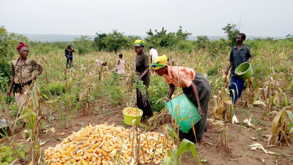 Mbujimayi-Budikadidi-champs-2fd