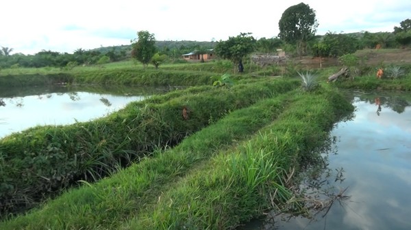 Vue des étangs de Mme Carine avec la