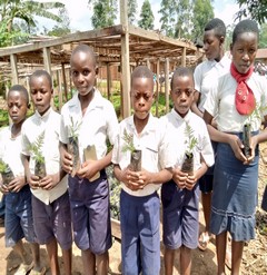 Butembo_enfants-et-arbres-2-e3b