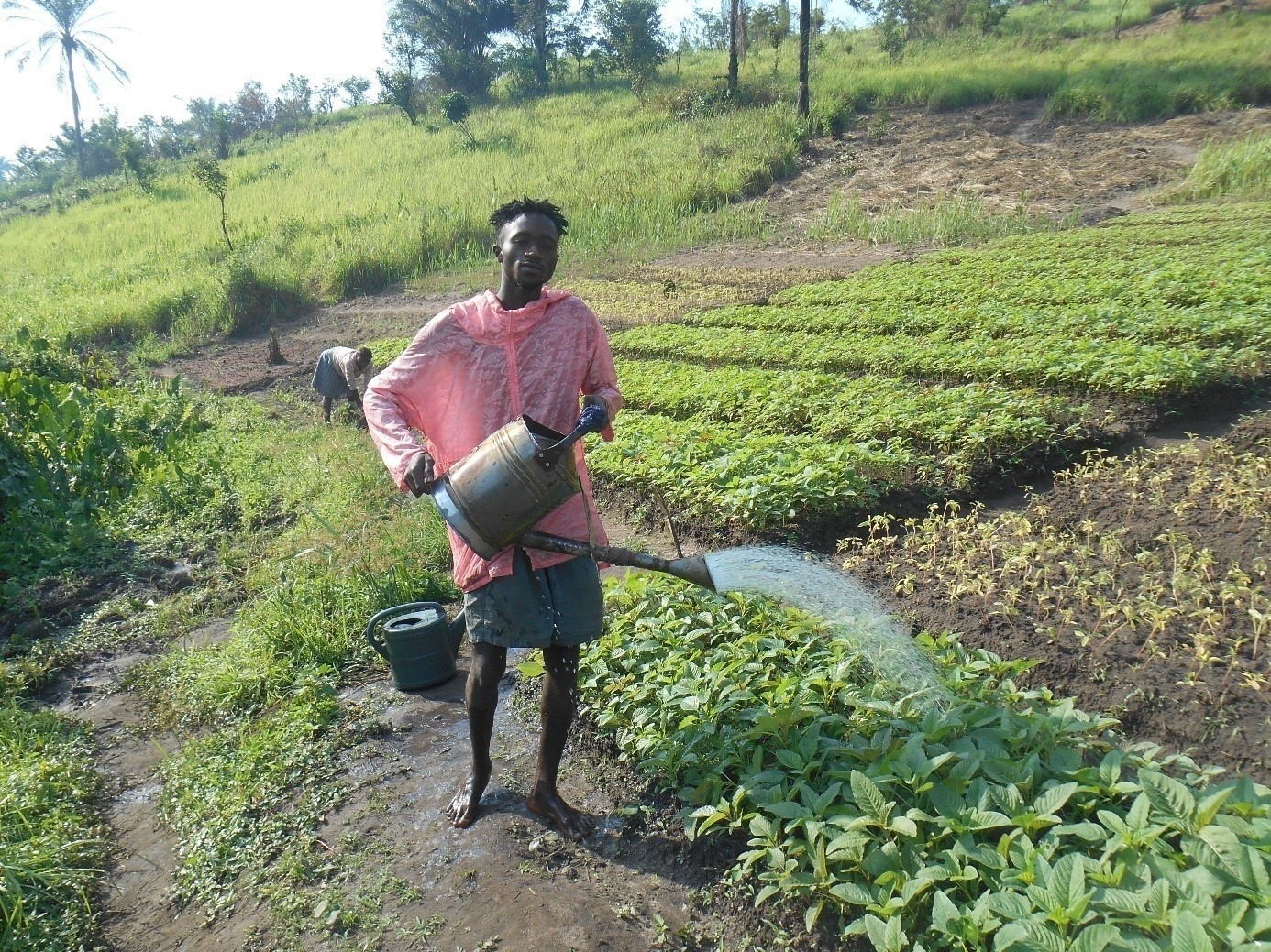 Kikwit-plates-bande-lgumes-069