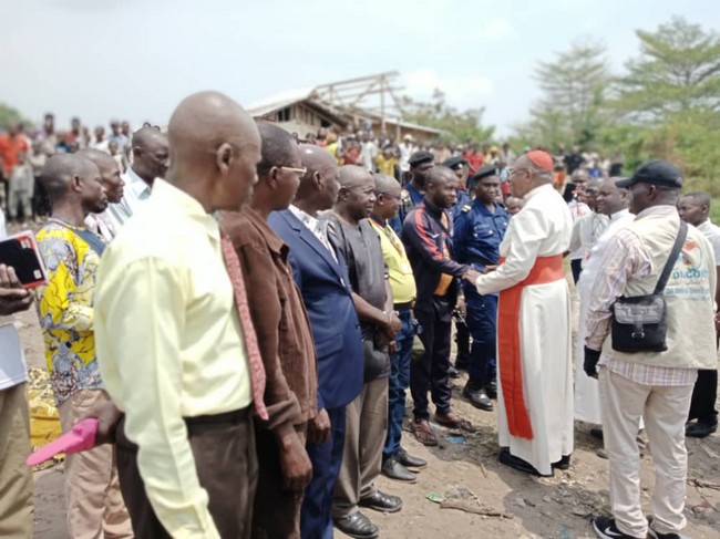 Cardinal_chez_Teke_et_Yaka-a71