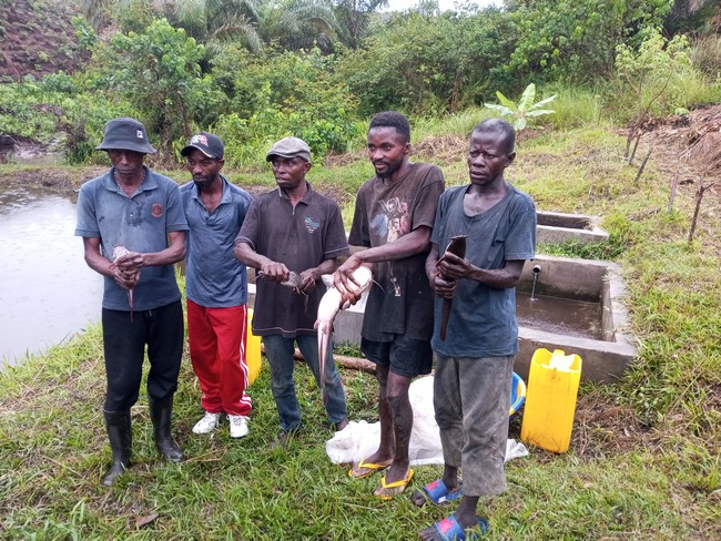 Bénéficiaires au site piscicole à Kinsiona