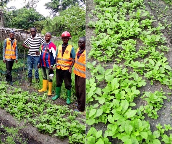 Kabinda_ppinires-c4e