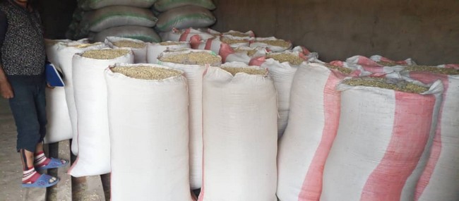 Des sacs de maïs dans l'entrepôt de la COOPROVELU Des sacs de maïs dans l'entrepôt de la COOPROVELU