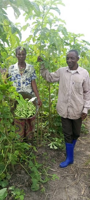 Kongolo_forunisseur_gombo-3b5