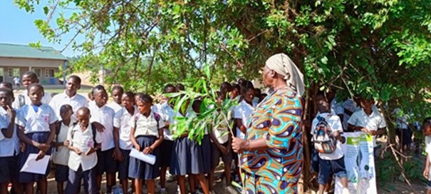 sensibilisation-arbre-eleves-db6