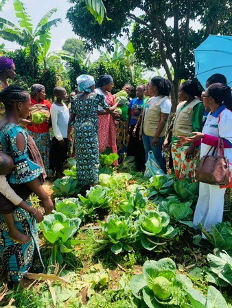 NAC_choux_recolte-545