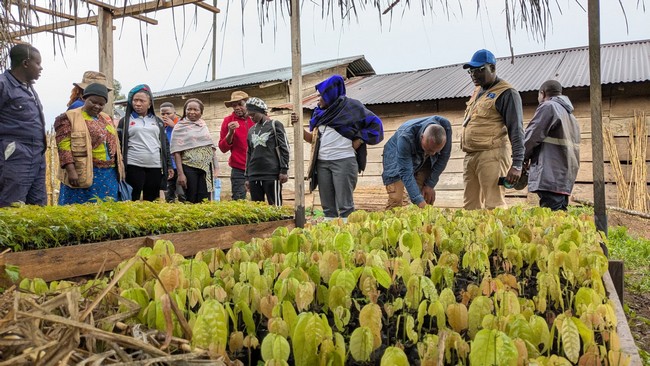 Visite_des_pepinieres_des_cacaos_et_des_arbres_dombrage_agro-ecologiques_de_la_ferme_ecole-d90