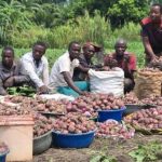 WhatsApp-Image-2025-10-28-at-11.52.35-f63